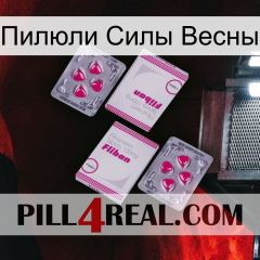 Пилюли Силы Весны 33